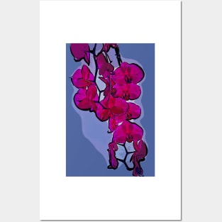 The Beauty Of An Orchid Posters and Art